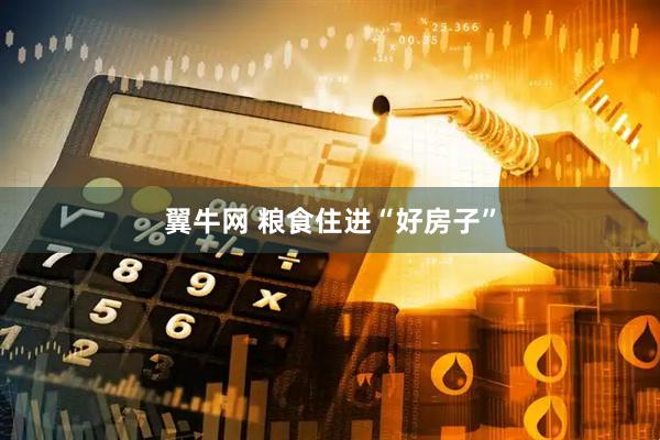 翼牛网 粮食住进“好房子”