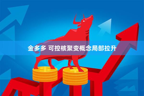 金多多 可控核聚变概念局部拉升