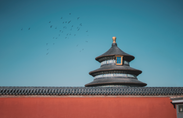 上尚策 沿中轴线观鸟，探寻这座城里人和鸟之间的故事