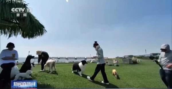 策略宝 明确正当防卫免处罚、重划未成年人惩戒红线……新治安管理处罚法来了