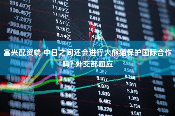 富兴配资端 中日之间还会进行大熊猫保护国际合作吗? 外交部回应