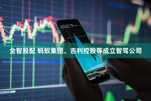 全智股配 蚂蚁集团、吉利控股等成立智驾公司