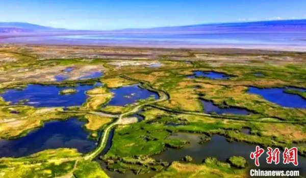 捷元网 新疆艾比湖湿地生态守护者：多年守护见证万羽归巢