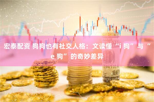 宏泰配资 狗狗也有社交人格：文读懂 “i 狗” 与 “e 狗” 的奇妙差异
