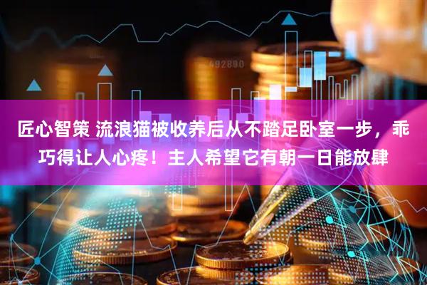 匠心智策 流浪猫被收养后从不踏足卧室一步，乖巧得让人心疼！主人希望它有朝一日能放肆