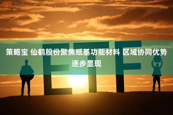 策略宝 仙鹤股份聚焦纸基功能材料 区域协同优势逐步显现