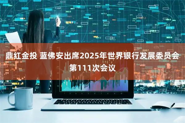 鼎红金投 蓝佛安出席2025年世界银行发展委员会第111次会议