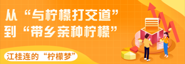灿星财富 网络强村丨柠檬姐与电商哥已就位！他们，都在为“百千万工程”聚光