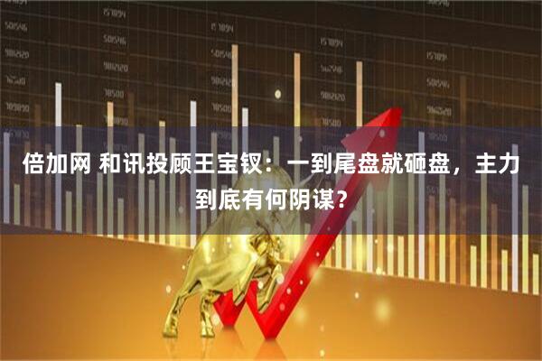 倍加网 和讯投顾王宝钗：一到尾盘就砸盘，主力到底有何阴谋？